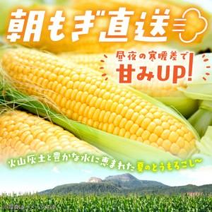 ふるさと納税 <2026年8月初旬よりお届け>...の詳細画像1