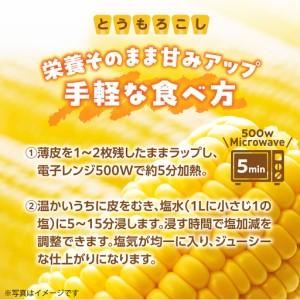 ふるさと納税 <2026年8月初旬よりお届け>...の詳細画像2
