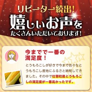 ふるさと納税 <2026年8月初旬よりお届け>...の詳細画像3