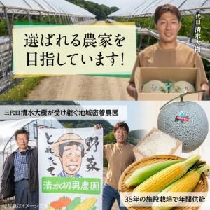 ふるさと納税 <2026年8月初旬よりお届け>...の詳細画像4