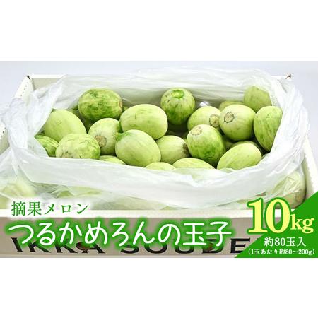 ふるさと納税 マスクメロンの子メロン つるかめろんの玉子(摘果メロン) 10kg 約80玉 - マス...