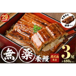 ふるさと納税 うなぎ 蒲焼 山田 鹿児島産 3尾 (計480g以上) うなぎセット 【ポータル限定】 a6-062-km-03 鹿児島県志布志市