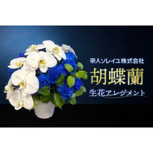 ふるさと納税 【帝人ソレイユ】041（コ）胡蝶蘭　生花アレンジメント 千葉県我孫子市