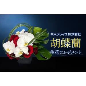 ふるさと納税 【帝人ソレイユ】055（コ）胡蝶蘭　生花アレンジメント《30日以内に出荷予定(土日祝除く)》 千葉県我孫子市