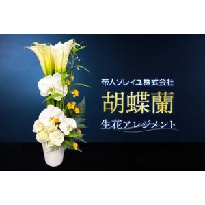 ふるさと納税 【帝人ソレイユ】053（コ）胡蝶蘭　生花アレンジメント 千葉県我孫子市