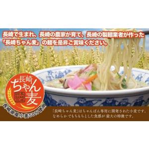 ふるさと納税 【全12回定期便】《具材付》長崎...の詳細画像4