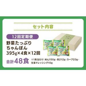 ふるさと納税 【全12回定期便】野菜たっぷりち...の詳細画像4