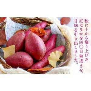 ふるさと納税 【1月発送】【みっちゃんの干し芋...の詳細画像1