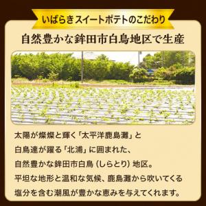 ふるさと納税 干し芋 780g 紅はるか シル...の詳細画像3