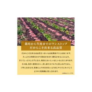 ふるさと納税 熟成 干し芋 1kg (100g...の詳細画像2
