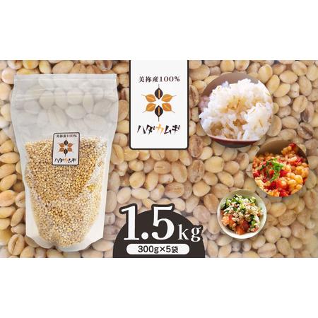 ふるさと納税 はだか麦 5袋セット ｜ 麦 はだか麦 セット ヘルシーフード 味噌 麦茶 特産品 美...