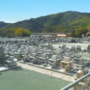 ふるさと納税 一宮霊園 陽だまり 樹木葬 1区...の詳細画像2