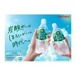 ふるさと納税 北海道 定期便 2ヵ月 連続 全...の詳細画像2