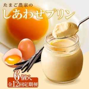 ふるさと納税 【定期便12ヶ月】たまご農家のしあわせプリン 6個セット デイリーファーム たまご 幸せ プリン 瓶入り デザート スイーツ おやつ .. 愛知県常滑市