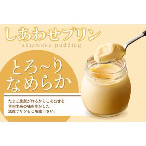 ふるさと納税 【定期便12ヶ月】たまご農家のし...の詳細画像2