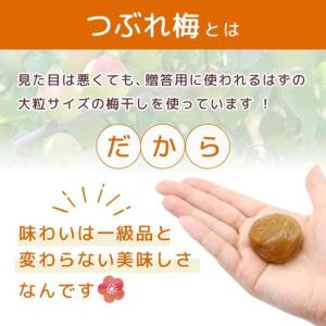 ふるさと納税 梅干し 塩分約2.7% つぶれ梅...の詳細画像2