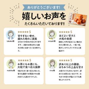 ふるさと納税 梅干し 塩分約2.7% つぶれ梅...の詳細画像3