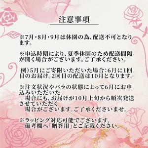 ふるさと納税 【3ヶ月定期便】 バラ 花束 ブ...の詳細画像3