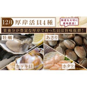 ふるさと納税 厚岸旬のふるさとセット 年5回お...の詳細画像2
