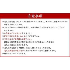 ふるさと納税 【年4回定期便(1月・4月・7月...の詳細画像4