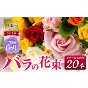 ふるさと納税 【定期便】バラ 花束 20本 定期便 6カ月コース 愛知県田原市