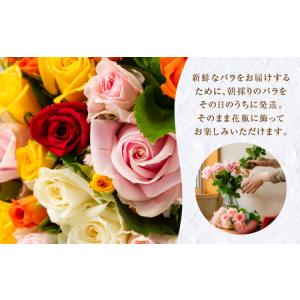 ふるさと納税 【定期便】バラ 花束 20本 定...の詳細画像1