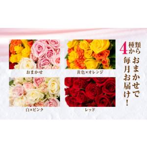 ふるさと納税 【定期便】バラ 花束 20本 定...の詳細画像3