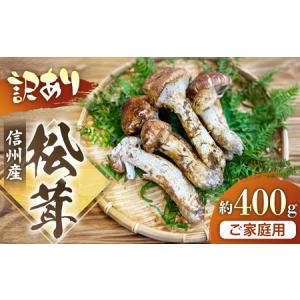 ふるさと納税 G-3　信州産「松茸」400g ご家庭用 訳あり品 長野県豊丘村