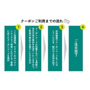 ふるさと納税 vixen クーポン券 15万円...の詳細画像2