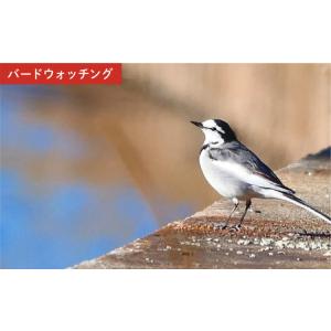 ふるさと納税 トコろん単眼鏡 H4×12 ビク...の詳細画像4