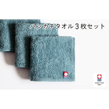 ふるさと納税 （今治タオルブランド認定）今治ベーシックタオル　ハンカチタオル　3枚セット（グリーン）...