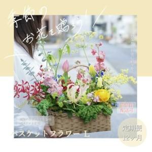 ふるさと納税 《12ヵ月定期便》季節の生花バスケットフラワーL 高知県芸西村