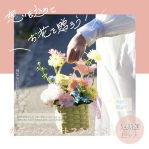 ふるさと納税 《12ヵ月定期便》季節の生花カラーバスケットフラワーS 高知県芸西村