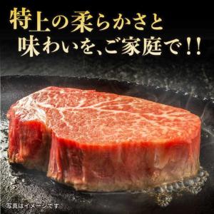 ふるさと納税 【12回定期便】長崎和牛ヒレステ...の詳細画像1