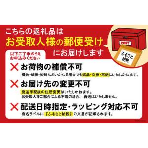 ふるさと納税 BI068【夏季採寸限定】オーダ...の詳細画像1