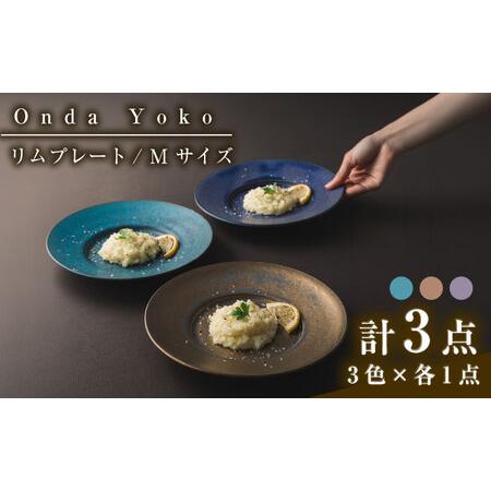 ふるさと納税 【美濃焼】 恩田陽子 リムプレート 皿 M 3色各1点 計3点セット グリーン ゴール...