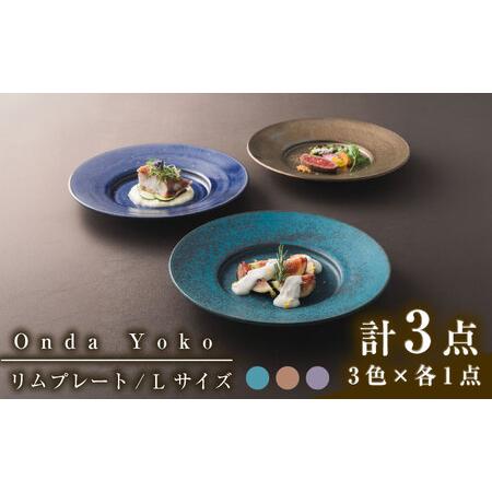 ふるさと納税 【美濃焼】 恩田陽子 リムプレート 皿 L 3色各1点 計3点セット グリーン ゴール...