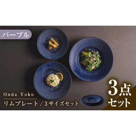 ふるさと納税 【美濃焼】 恩田陽子 リムプレート 皿 パープル 3サイズセット S M L 瑞浪市 ...