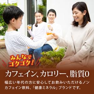 ふるさと納税 伊藤園 麦茶【定期便6か月】健康...の詳細画像2