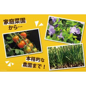 ふるさと納税 培養土 10L 1袋 宮崎県日向市の詳細画像2