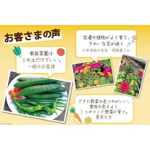 ふるさと納税 培養土 10L 1袋 宮崎県日向市の詳細画像3