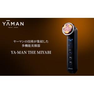 ReFa（リファ） リファダブルレイ レッド B22D04 ReFa DOUBLE RAY Red