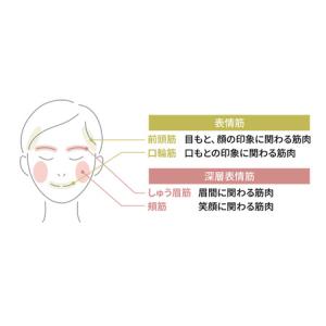 ふるさと納税 美顔器 RF美顔器 フォトプラス...の詳細画像1