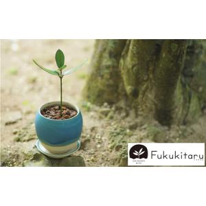ふるさと納税 Fukukitaru-フクキタル...の詳細画像1