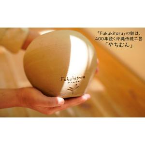 ふるさと納税 Fukukitaru-フクキタル...の詳細画像3