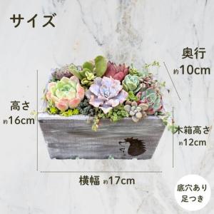 ふるさと納税 多肉植物 木箱寄せ植え / aj...の詳細画像1