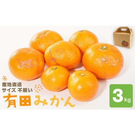 ふるさと納税 産地直送 有田みかん サイズ 不揃い 約3kg 喜楽farms 【2026年11月以降...