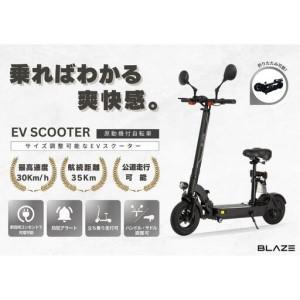 ふるさと納税 【原付一種】折りたたみ可能な電動キックボード！EV SCOOTER（EVスクーター） ブラック 愛知県名古屋市