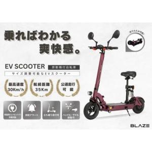ふるさと納税 【原付一種】折りたたみ可能な電動キックボード！EV SCOOTER（EVスクーター） ワインレッド 愛知県名古屋市