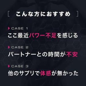 ふるさと納税 【スパルトT5】メンズサプリ・5...の詳細画像3
